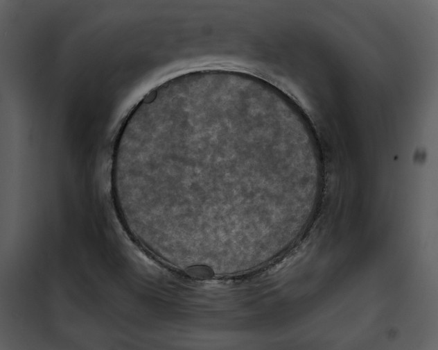 X0000100861504200807181124