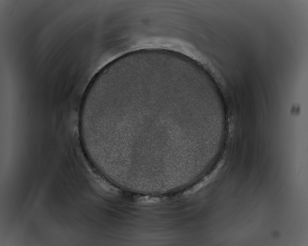 X0000100861505200807181124