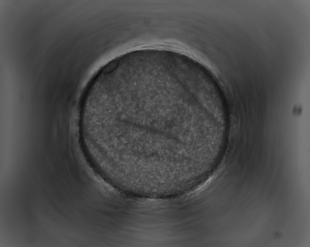 X0000100861506200807181124