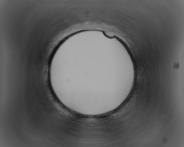 X0000100861507200807181124