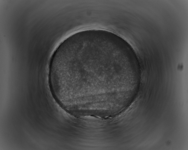 X0000100861508200807181124