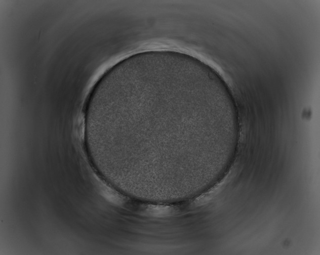 X0000100861509200807181124