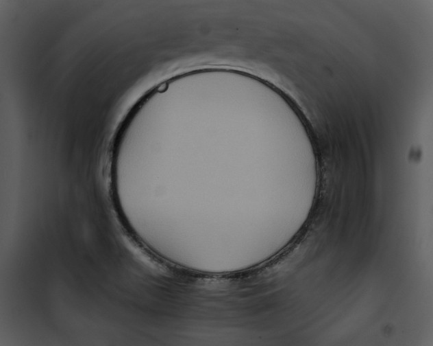 X0000100861511200807181124