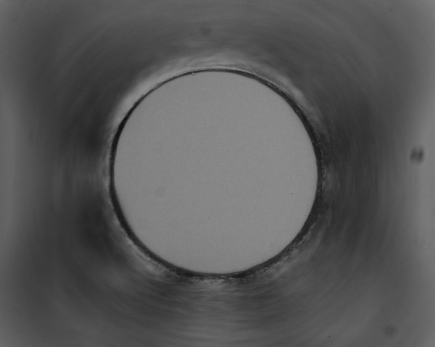 X0000100861512200807181124