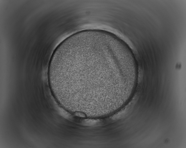 X0000100861513200807181124