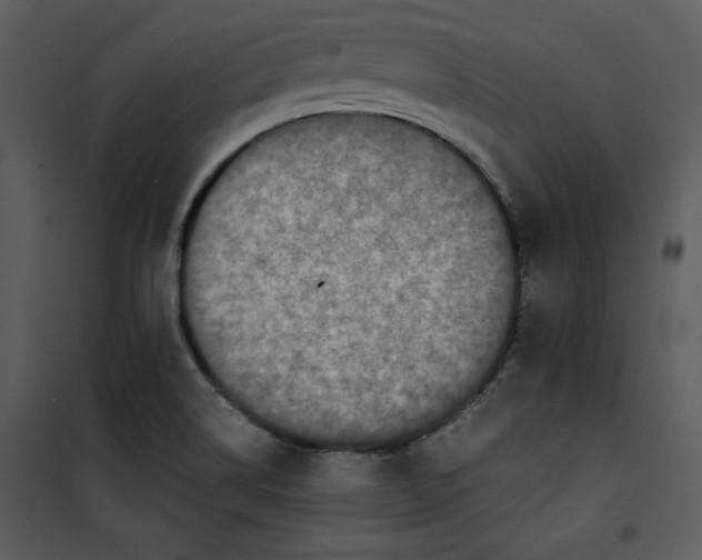 X0000100861514200807181124