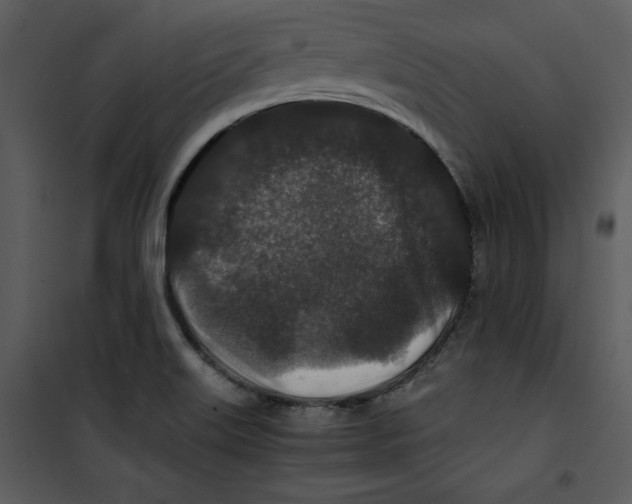 X0000100861515200807181124