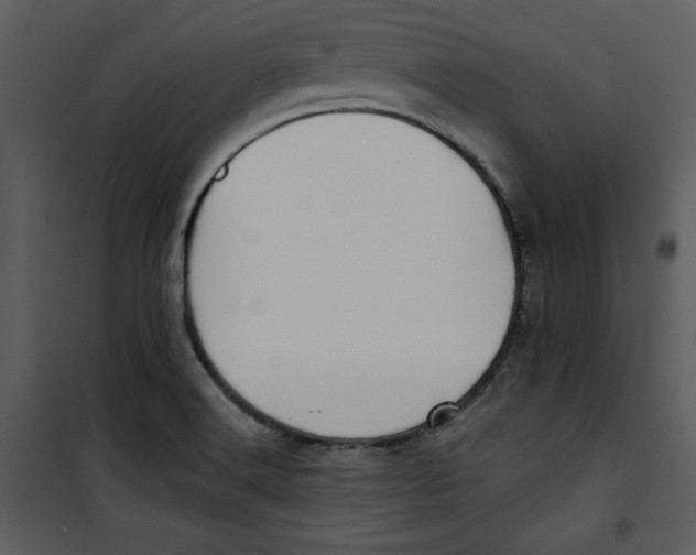 X0000100861516200807181124