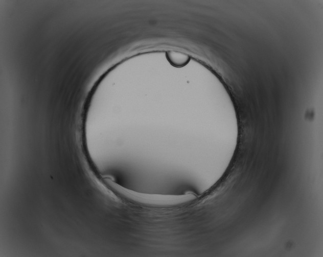 X0000100861518200807181124