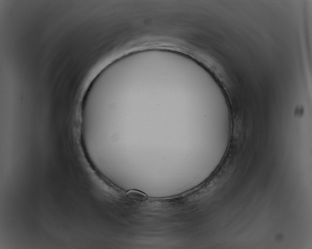 X0000100861520200807181124