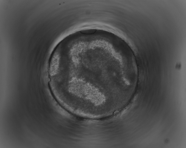 X0000100861522200807181124