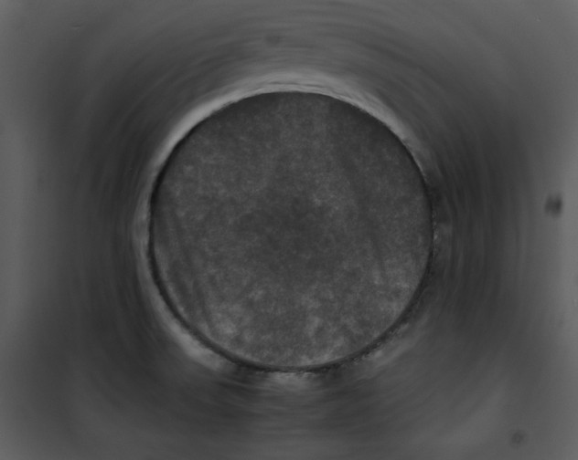 X0000100861523200807181124