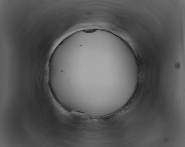 X0000100861524200807181124