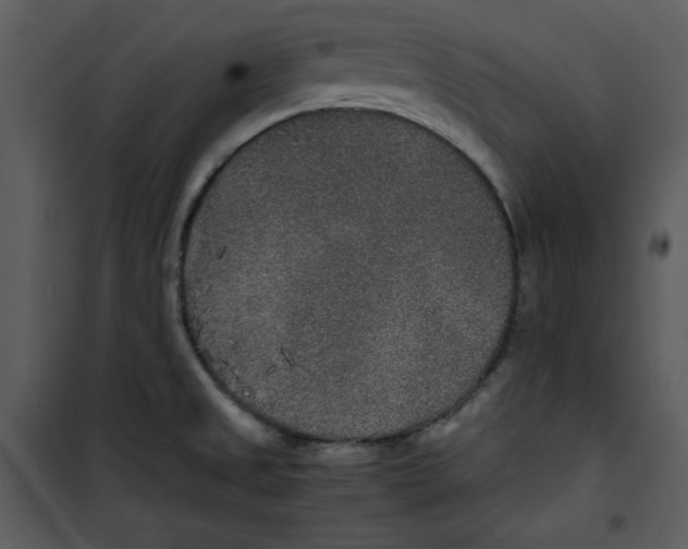 X0000100861525200807181124