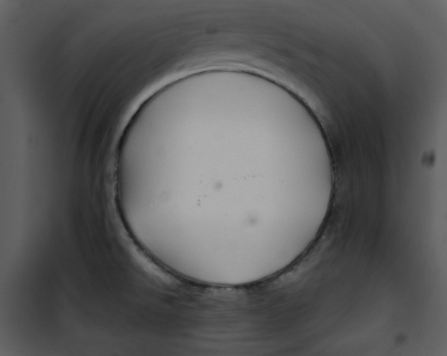 X0000100861526200807181124