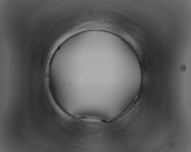 X0000100861528200807181124