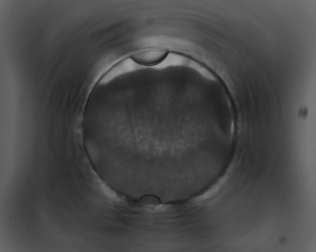 X0000100861529200807181124