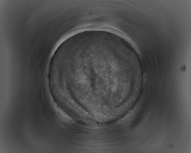 X0000100861530200807181124