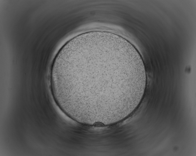 X0000100861531200807181124