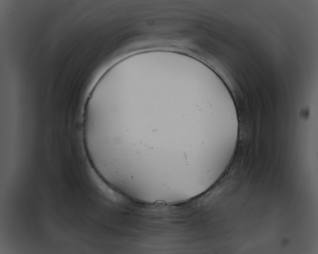 X0000100861532200807181124