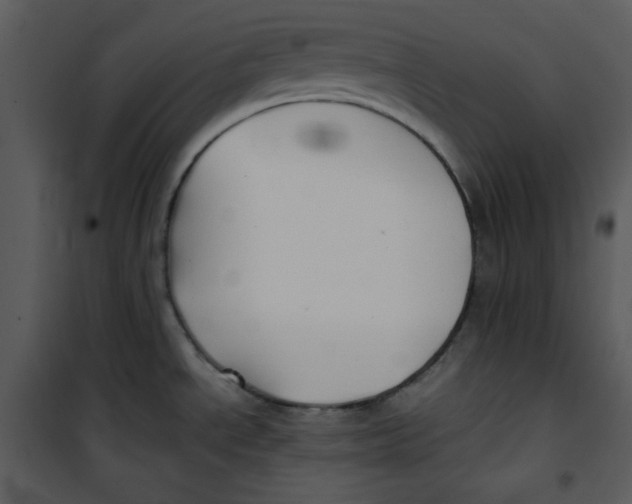 X0000100861534200807181124