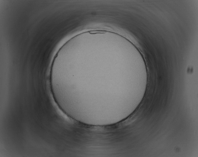 X0000100861536200807181124