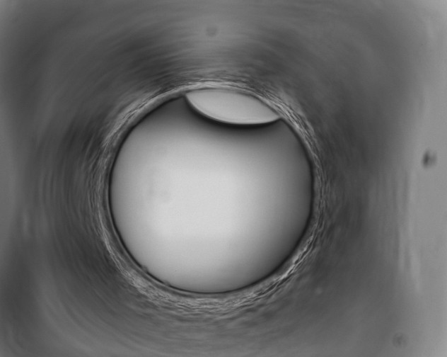 X0000100870001200806200914