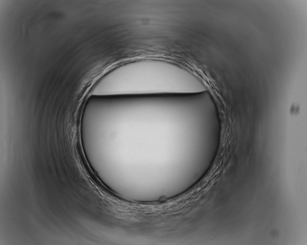 X0000100870002200806200914