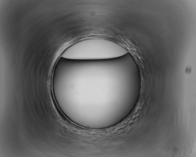 X0000100870003200806200914