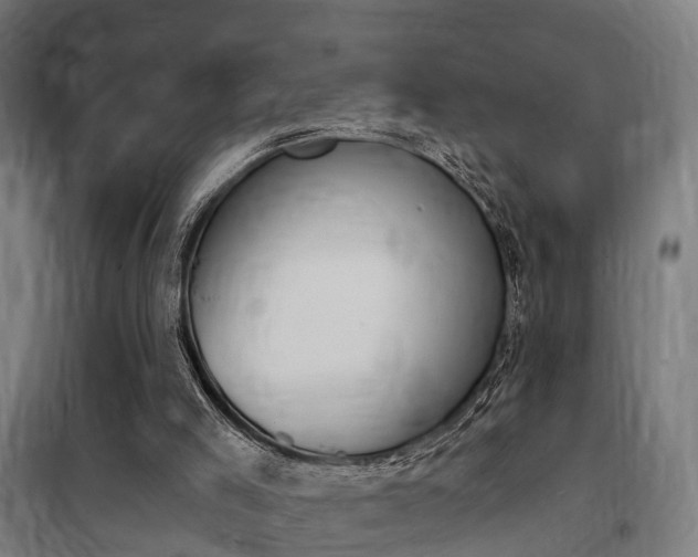 X0000100870005200806200914