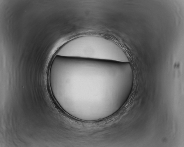 X0000100870006200806200914