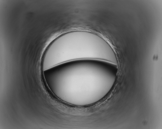 X0000100870008200806200914