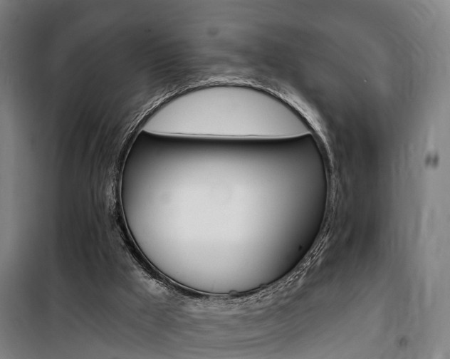 X0000100870009200806200914