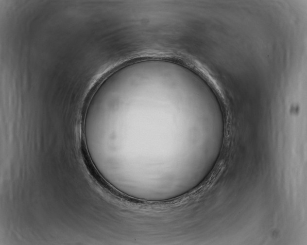 X0000100870011200806200914
