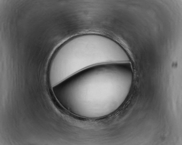 X0000100870012200806200914