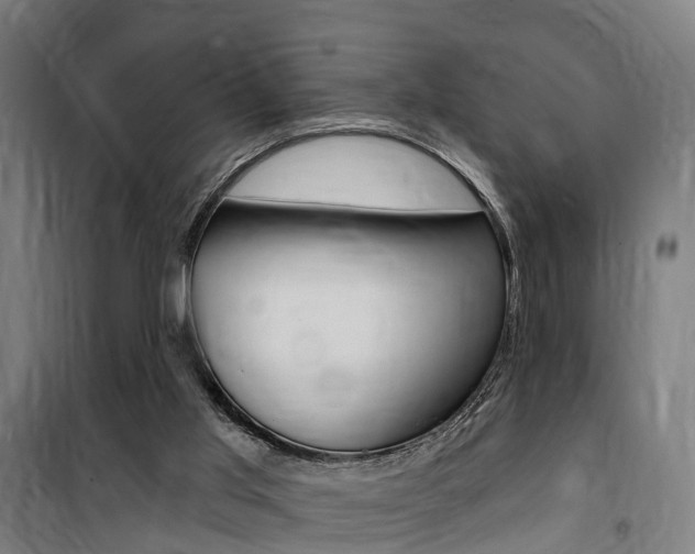 X0000100870013200806200914