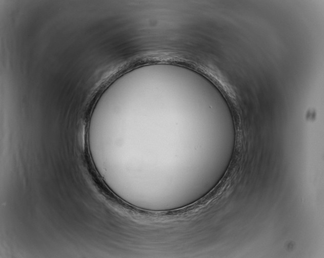 X0000100870014200806200914