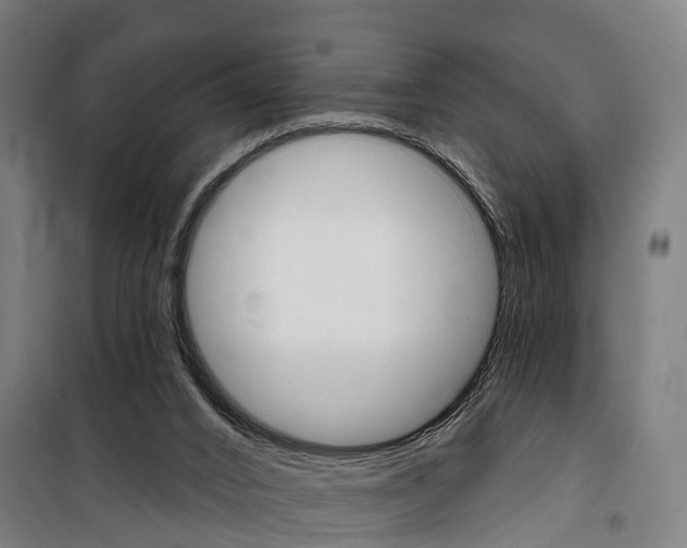 X0000100870016200806200914