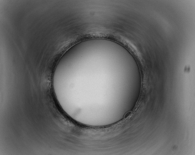 X0000100870017200806200913