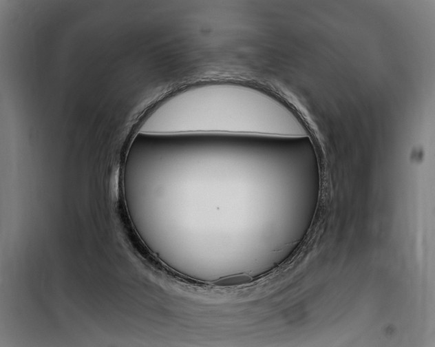 X0000100870019200806200913