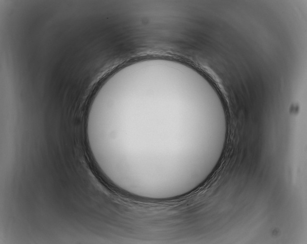 X0000100870020200806200913