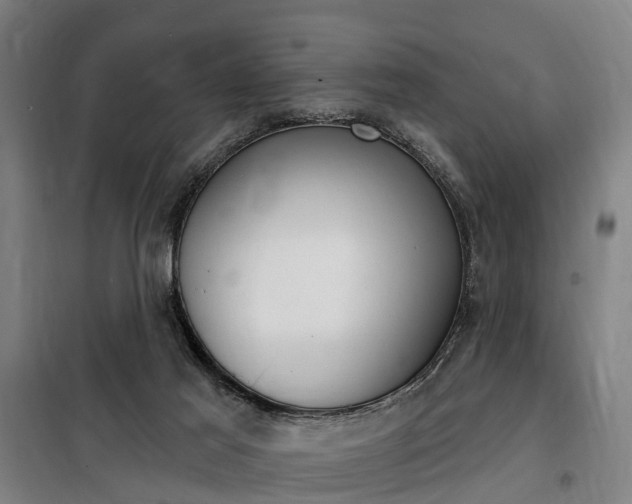 X0000100870021200806200913