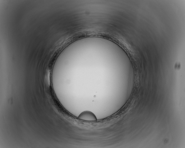 X0000100870022200806200913