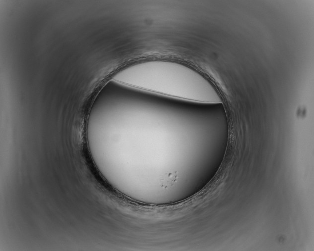 X0000100870023200806200913