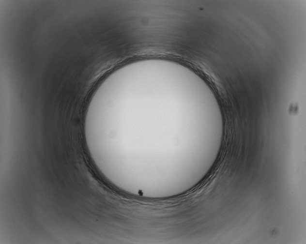 X0000100870024200806200913