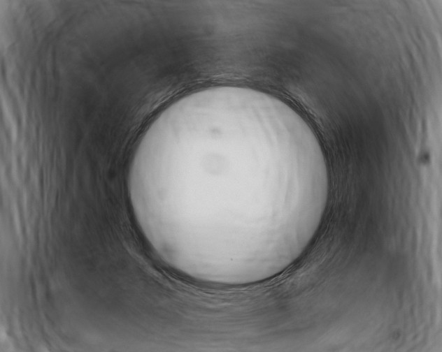 X0000100870028200806200913