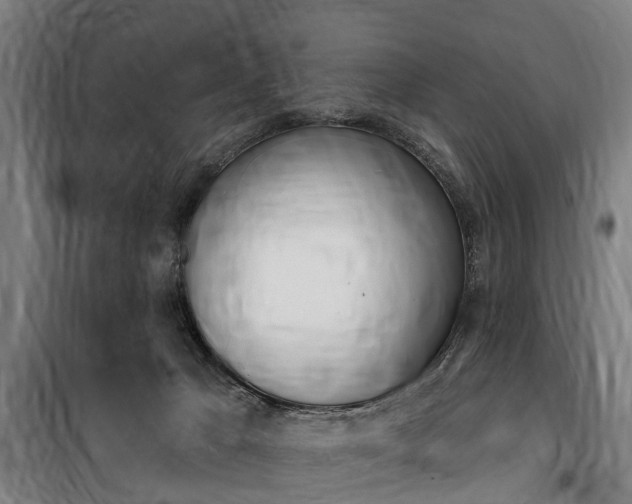 X0000100870029200806200913