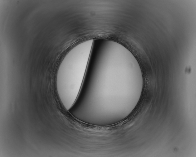 X0000100870032200806200913