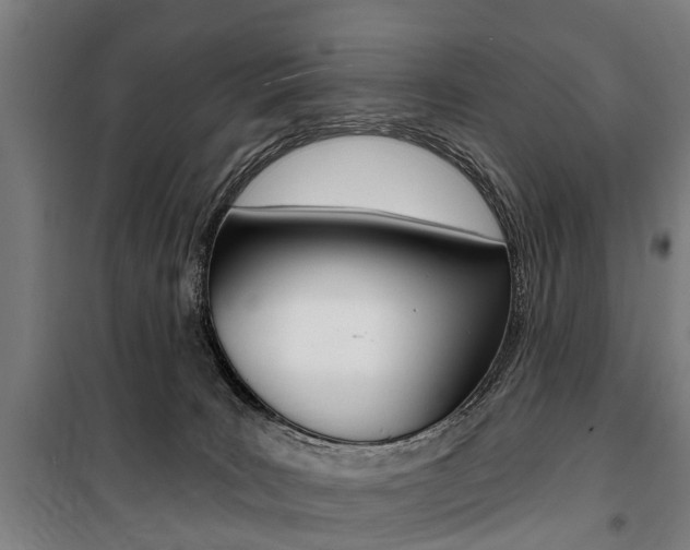 X0000100870035200806200913