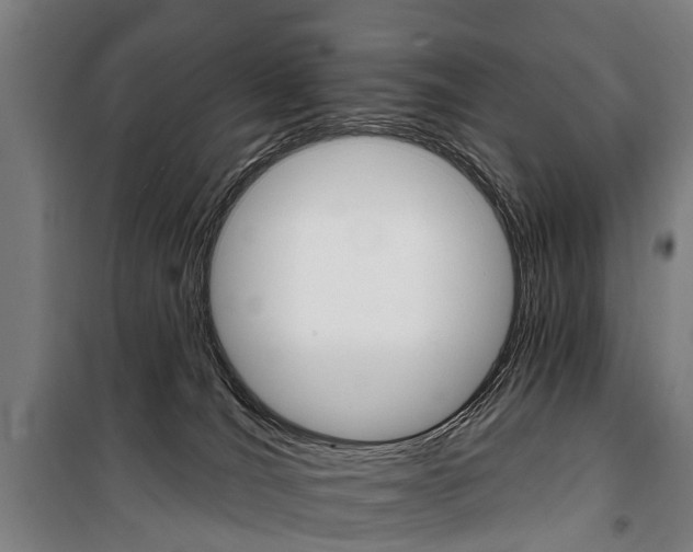 X0000100870036200806200913